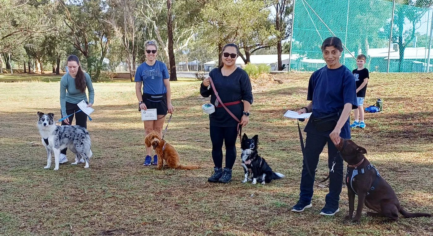 Dog obedience training